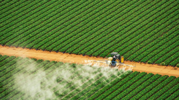 Best Pest Prevention Services  in Smoke Rise, AL