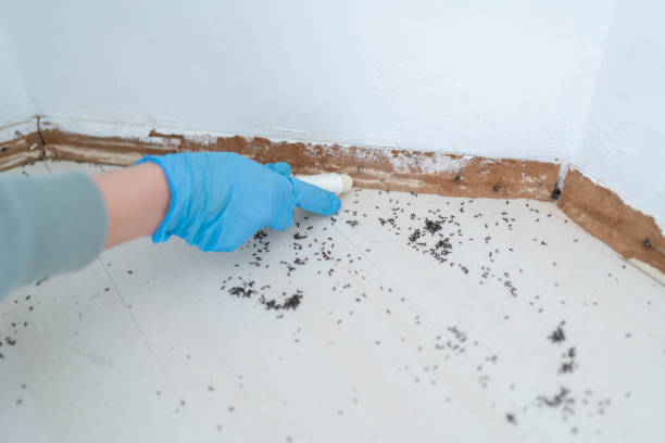 Best Best Pest Control Companies  in Smoke Rise, AL