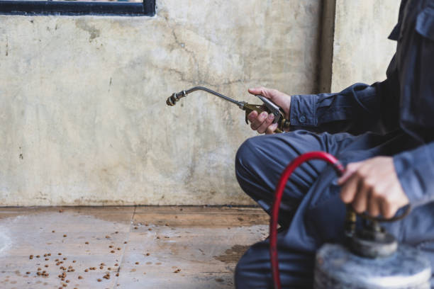 Best Pest Inspection Near Me  in Smoke Rise, AL